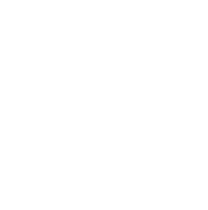 Data Accuracy & Auditing